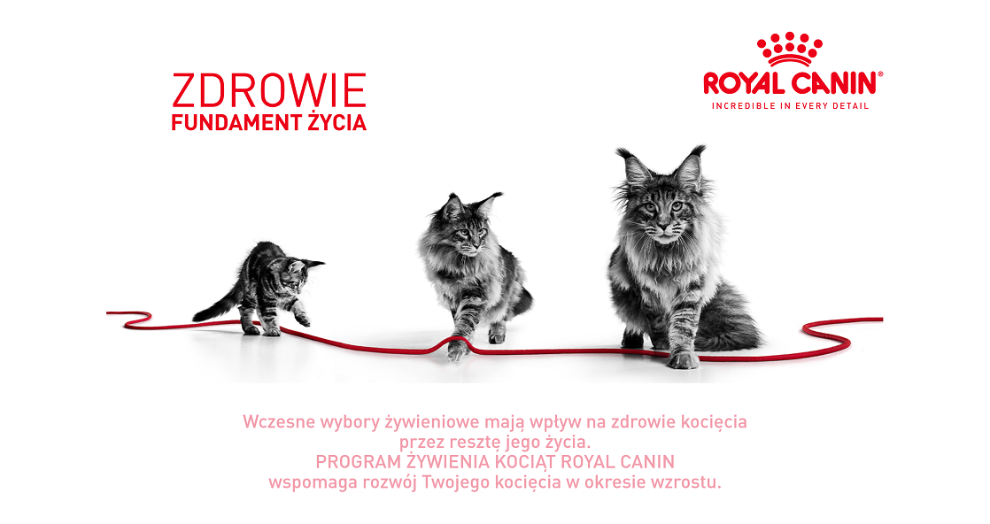 ROYAL CANIN Mother&Babycat 400 g 